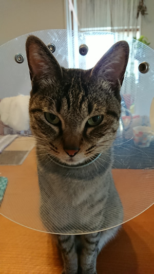 180523_01.jpg
