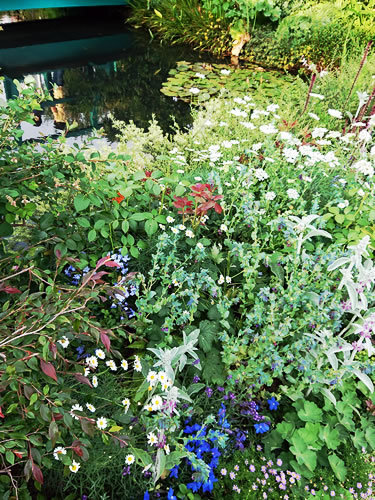 180527_01.jpg