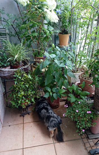 180606_01.jpg