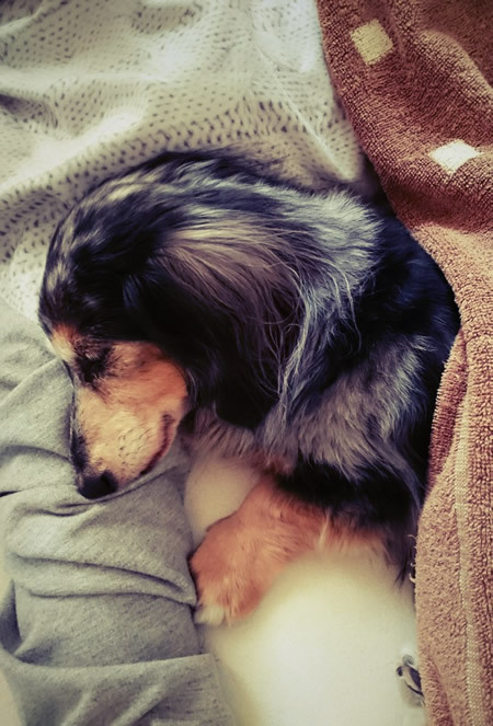 180610_01.jpg