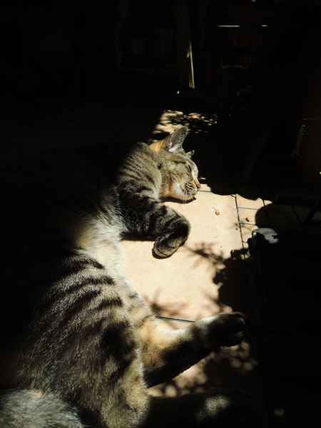 180619_01.jpg