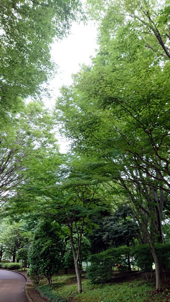 180621_01.jpg