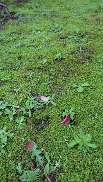 180621_03.jpg