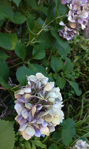 180629_01.jpg
