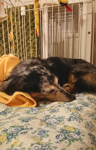 180701_01.jpg