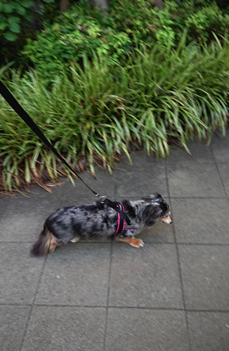 180711_01.jpg