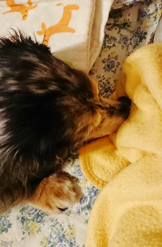 180712_01.jpg