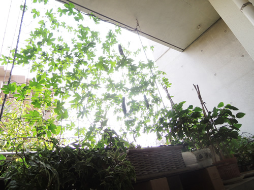 180713_01.jpg
