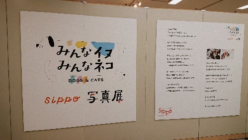 180818_01.jpg