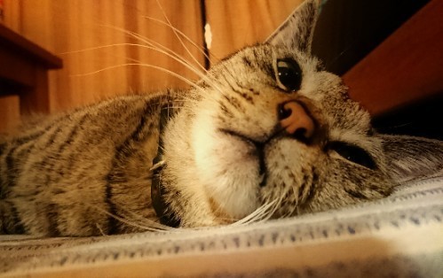 180827_01.jpg