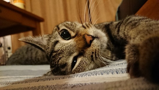 180827_02.jpg