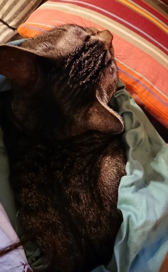 180830_01.jpg