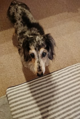180908_01.jpg