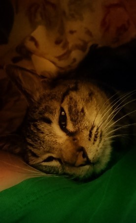 180914_01.jpg