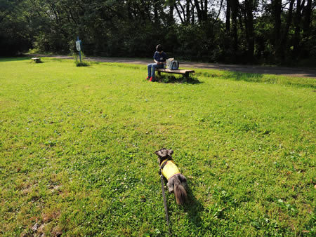 180916_1505.jpg