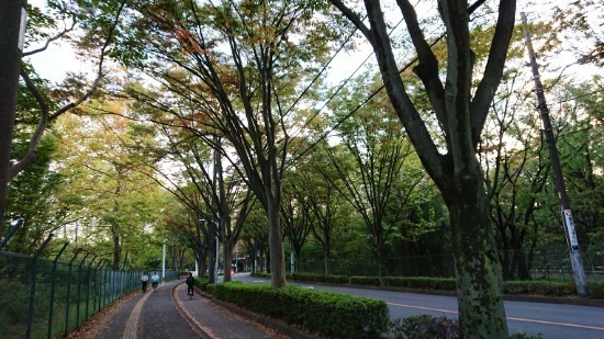 181026_01.jpg