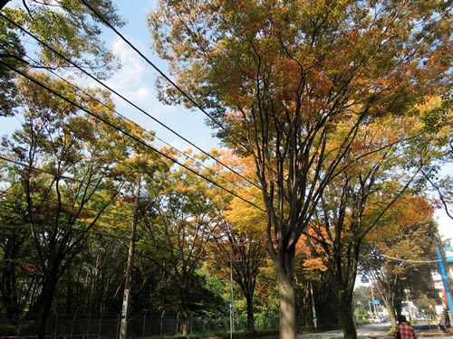 181029_03.jpg
