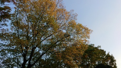 181102_01.jpg