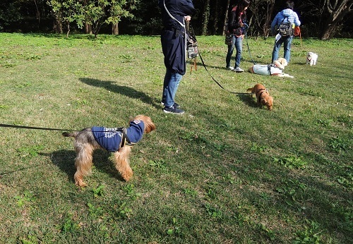 181108_04.jpg