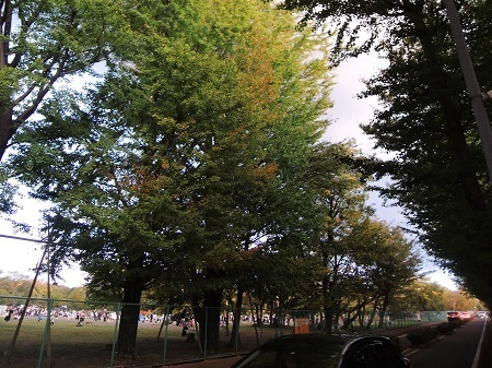 181110_01.jpg