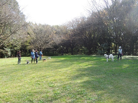 181111_01.jpg