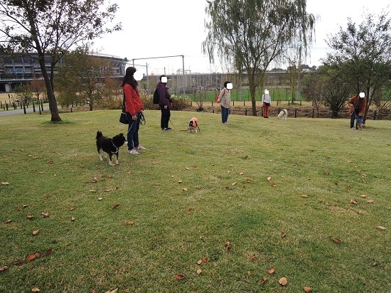 181118_01.jpg
