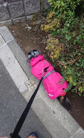 181122_01.jpg