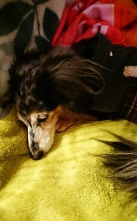 181225_01.jpg