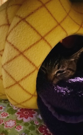 181225_02.jpg
