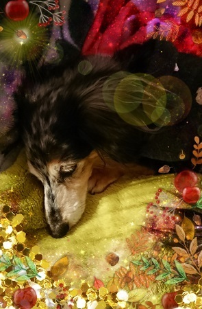 181227_02.jpg