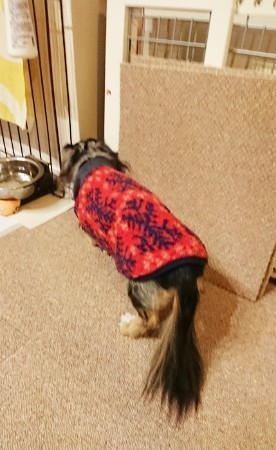 190119_01.jpg