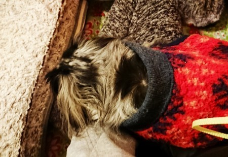 190212_01.jpg