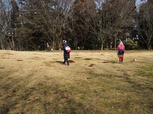 190214_01.jpg