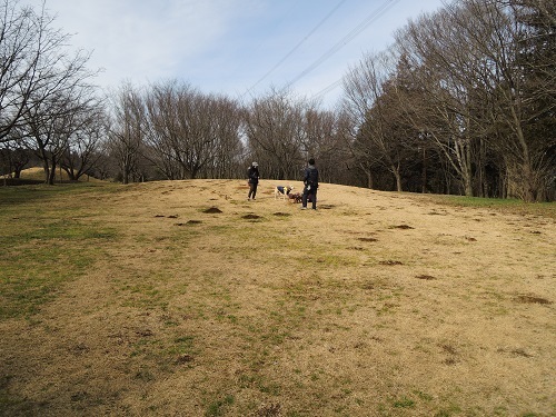 190214_02.jpg