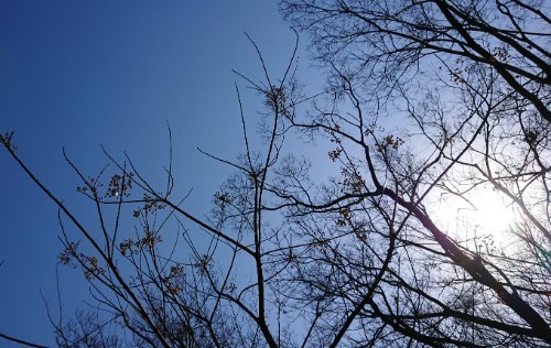 190219_01.jpg