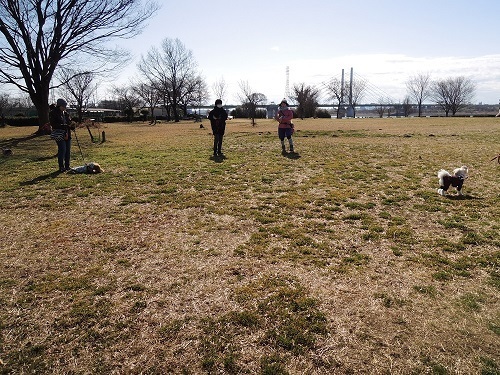 190221_01.jpg