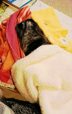 190228_01.jpg
