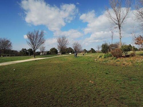 190315_02.jpg