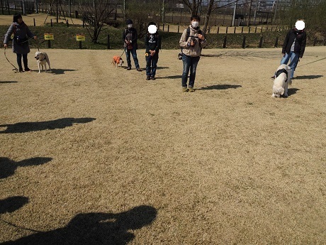 190317_01.jpg