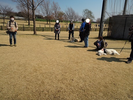 190317_02.jpg