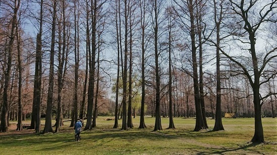 190320_01.jpg