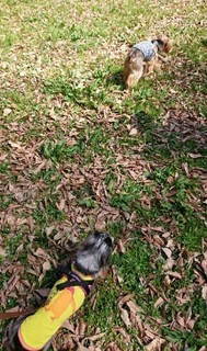 190321_02.jpg