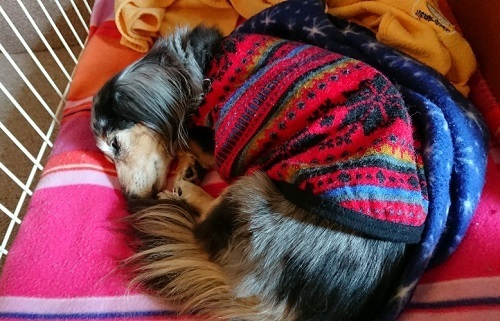 190326_01.jpg