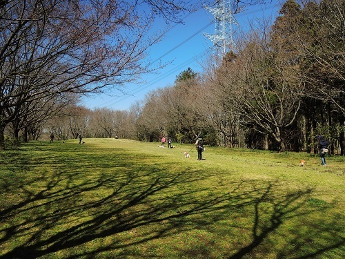 190404_01.jpg