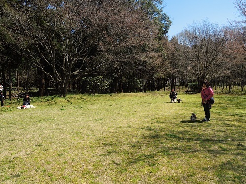 190404_02.jpg