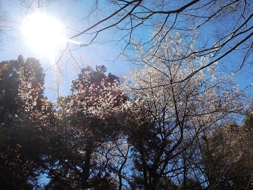 190404_03.jpg