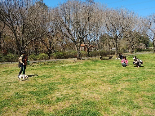 190405_01.jpg
