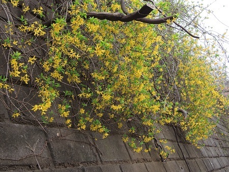190409_0328.jpg