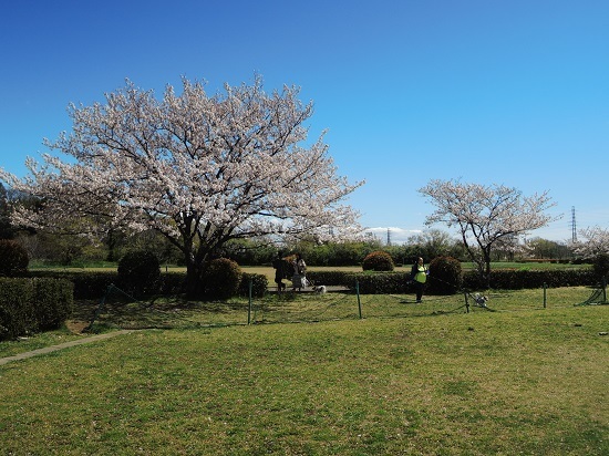 190412_01.jpg