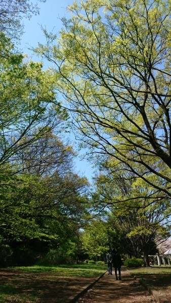 190413_01.jpg